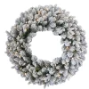 Frosted, Flocked, Iced Wreaths*National Tree Company Pre-Lit Snowy Iceland Fir Artificial Christmas Wreath, 24-Inch, Warm White Lights