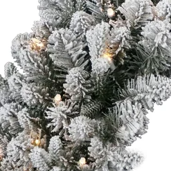Frosted, Flocked, Iced Wreaths*National Tree Company Pre-Lit Snowy Iceland Fir Artificial Christmas Wreath, 24-Inch, Warm White Lights