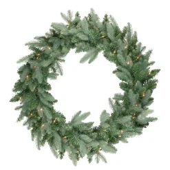 Pre-Lit Wreaths*Northlight Pre-Lit Washington Frasier Fir Artificial Christmas Wreath - 24-Inch, Clear Lights