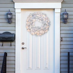 Specialty Wreaths*National Tree Company Pre-Lit White Wispy Willow Grande Artificial Christmas Wreath, 30-Inch, Clear Lights