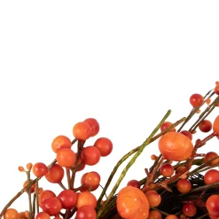 Berry Wreaths*Northlight Red And Orange Berries With Mini Pumpkins Fall Harvest Wreath, 20-Inch, Unlit