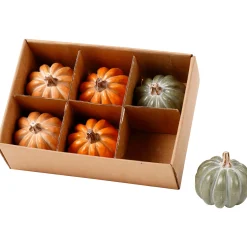 Northlight Set Of 6 Boxed Orange And Green Pumpkin Thanksgiving Decorations