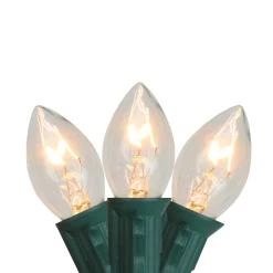 Northlight Set Of 25 C7 Clear Christmas Lights - 24 Ft Green Wire