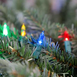 Northlight Set Of 100 Multi-Color Led Mini Christmas Lights 4" Spacing - Green Wire