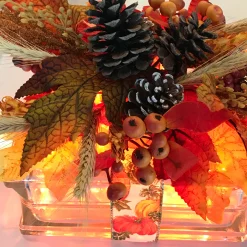 Northlight Set Of 50 Orange Mini Christmas Lights - 11.25 Ft White Wire