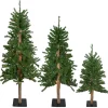 Northlight 3 And 3.5 Feet Tall>Set Of 3 Pre-Lit Slim Alpine Artificial Christmas Trees 5' - Multicolor Lights
