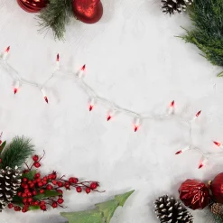 Northlight Set Of 100 Red Mini Christmas Lights 2.5" Spacing - White Wire