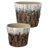Decoration Storage*Contemporary Home Living Set Of 2 White And Brown Frosted Bark Christmas Pots 9.75"