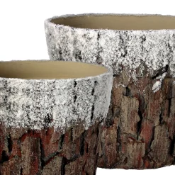 Decoration Storage*Contemporary Home Living Set Of 2 White And Brown Frosted Bark Christmas Pots 9.75