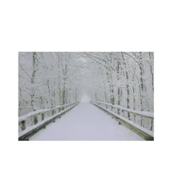 Wall & Door Decorations*Northlight Small Fiber Optic Lighted Winter Wooden Bridge Canvas Wall Art 12" X 15.75"