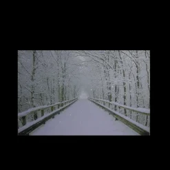 Wall & Door Decorations*Northlight Small Fiber Optic Lighted Winter Wooden Bridge Canvas Wall Art 12" X 15.75"